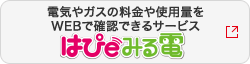 電気やガスの料金や使用量をWEBで確認できるサービス　はぴｅみる電